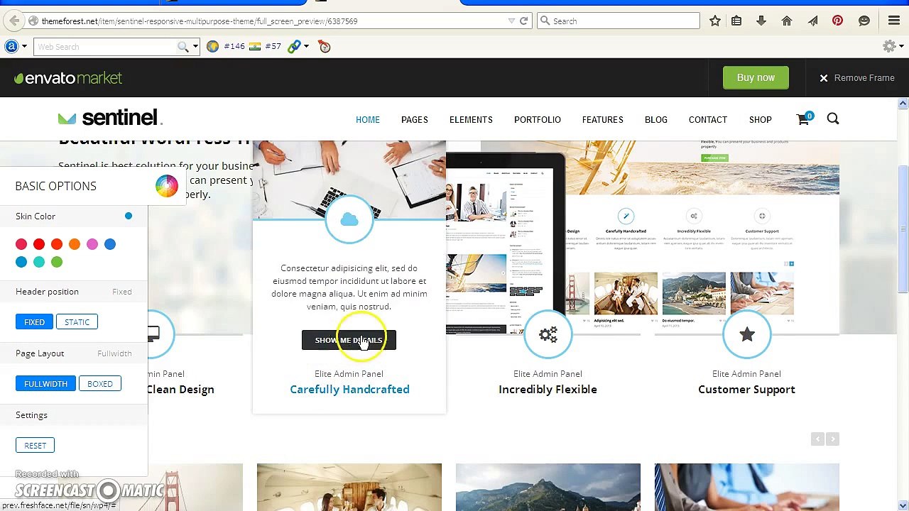 Sentinel Wordpress Theme - Sentinel Theme Download