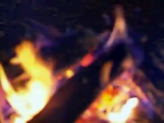 Vicente Fernandez - A Puros Besos