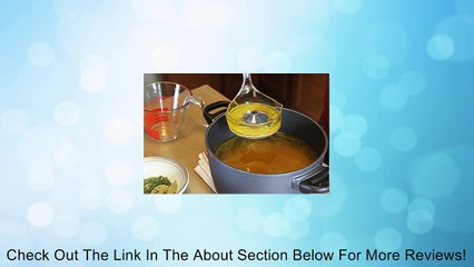 Fatsoff Soup Scoop Fat Skimmer Review