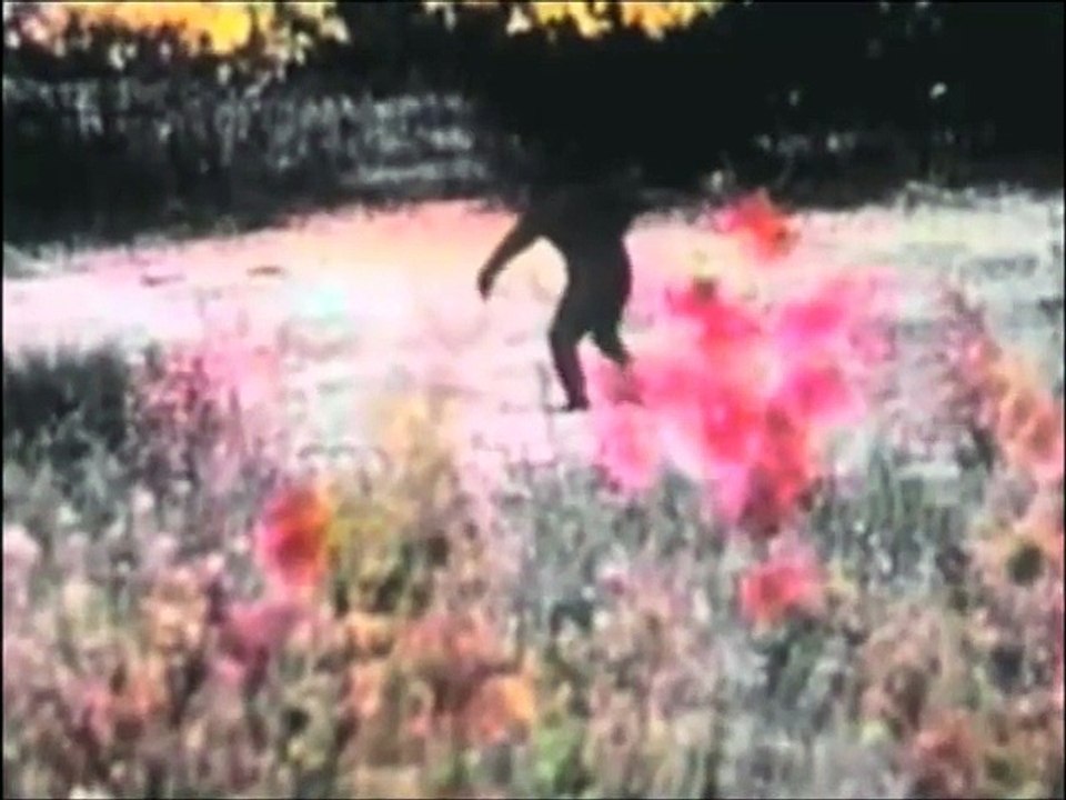 Sasquatch Sees 8 Colors/Spectrophonocode
