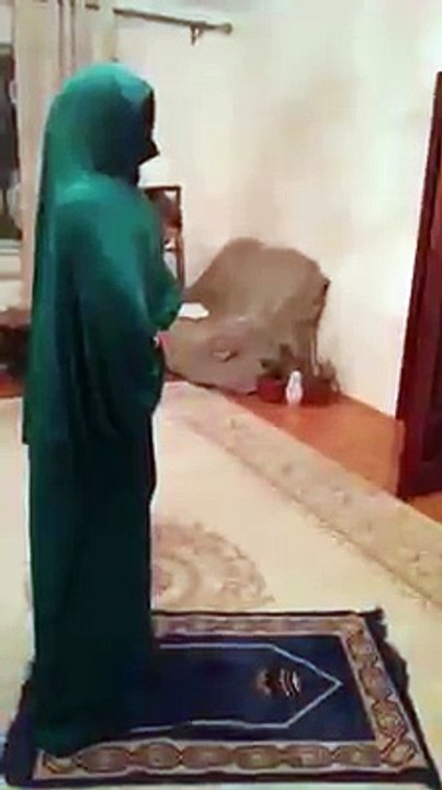 Amazing FUNNY