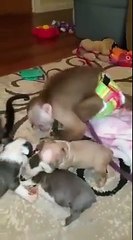 OMG You ll Be Amazed After Watching This Video   Love Power