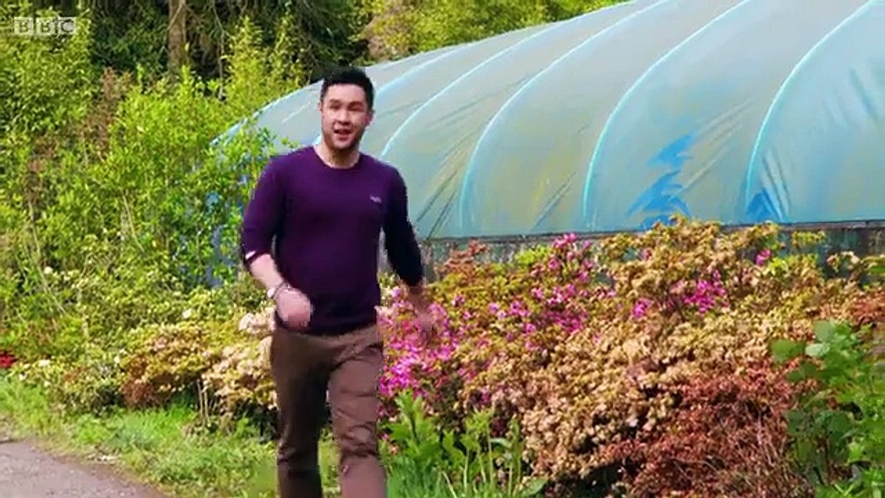 GBGR Rhododendrons & Carnations