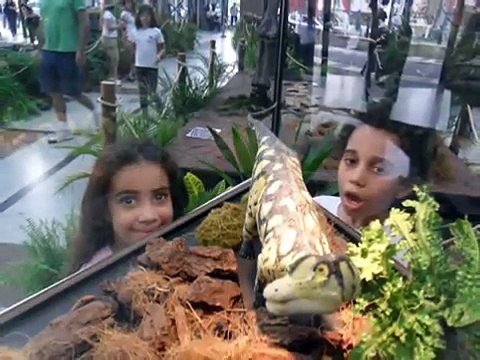 Dinossauros da Patagônia no Shopping Morumbi (E&M)