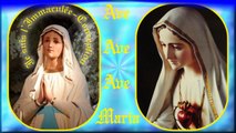 AM46. Lourdes  : Instrumental pour 37 couplets