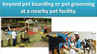 Buy Pet Products in Australia