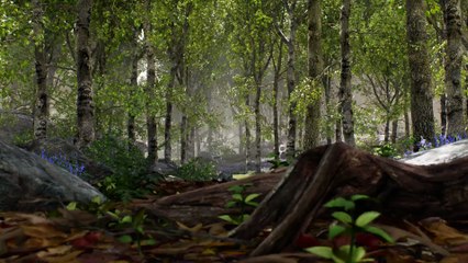 Unreal Engine 4 : Kite GDC Cinematic