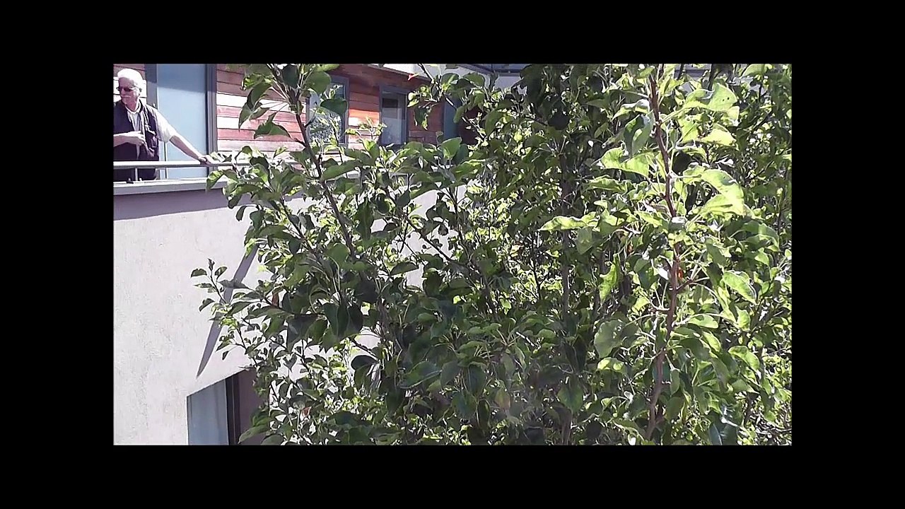 Les jardins de Lalieux