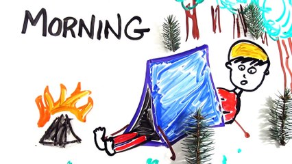 The Science of  Morning Wood