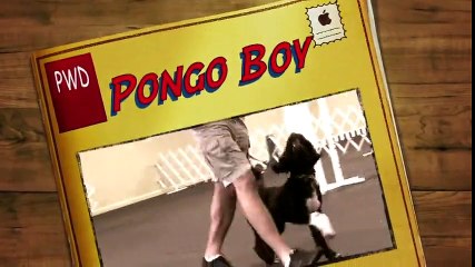 Yavru köpeğin göle ilk dalışı