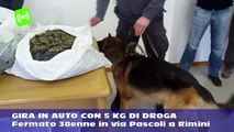 Gira in auto con 5 kg di droga, fermato 38enne in viale Pascoli a Rimini