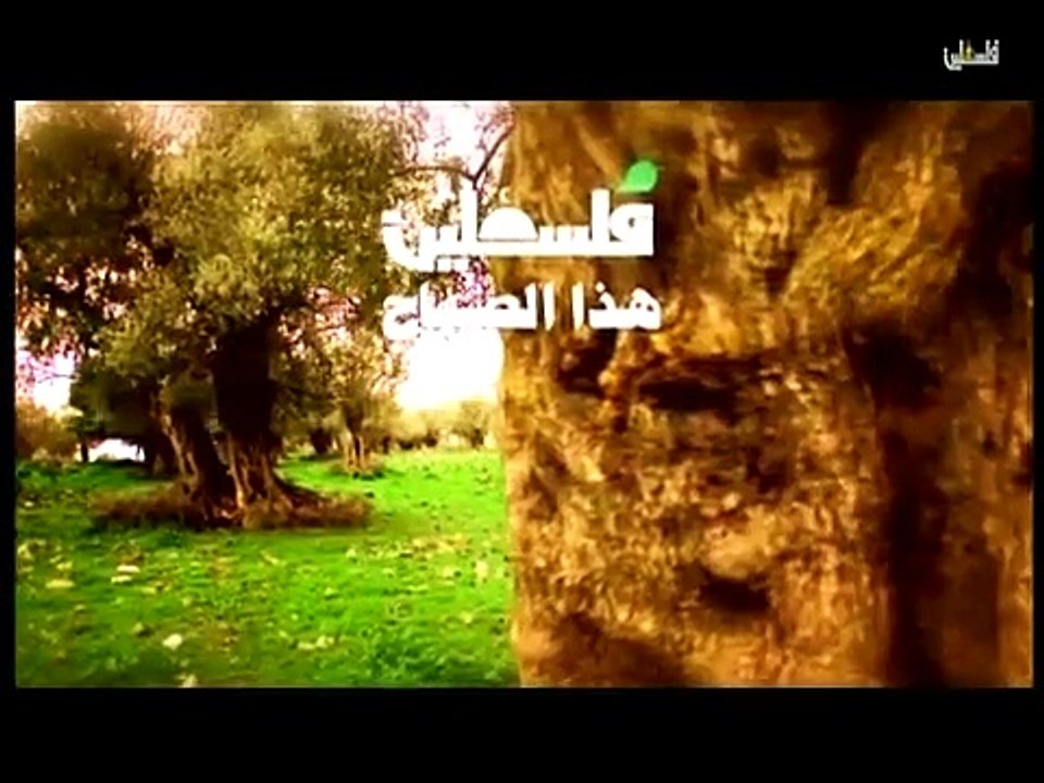 فلسطين هذا الصباح الخميس 3-5 -2015ج1