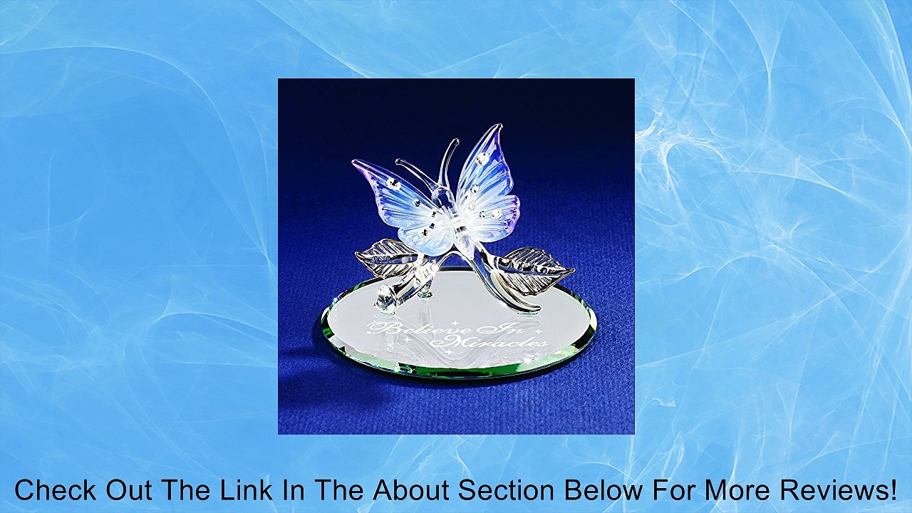 Butterfly Believe In Miracles Glass Figurine Review