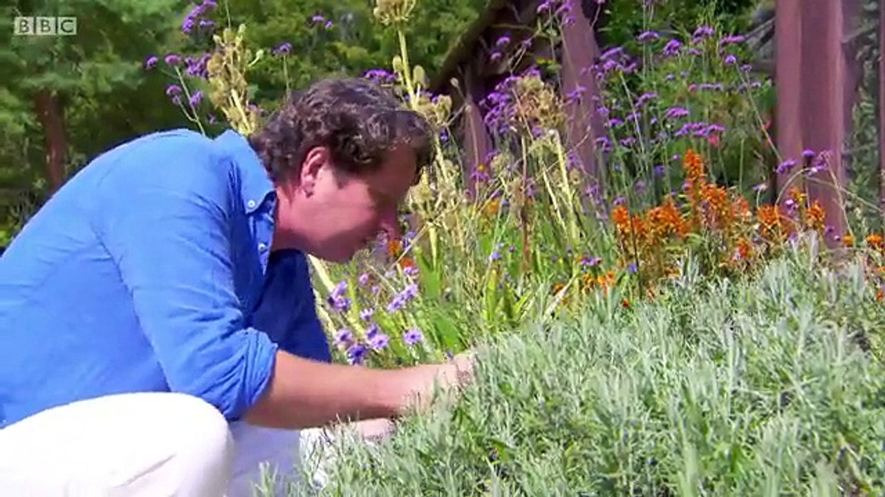 GBGR Lavender & Knot Gardens