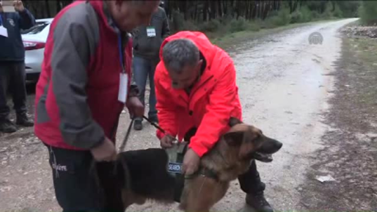 Arama Kurtarma Köpeklerinin Zorlu Sınavı