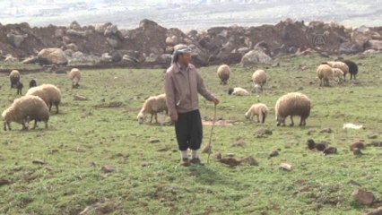 Parası Çok, İlgi Yok"