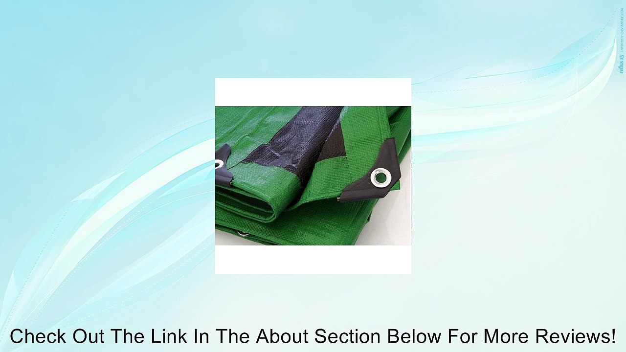 Heavy Duty Poly Canopy Tent Boat RV or Pool Cover Tarp Size: 15' x 30' Review