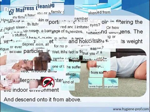 Rugs Cleaning Services