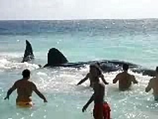 Prank Call To Sweety Bengali Aunty