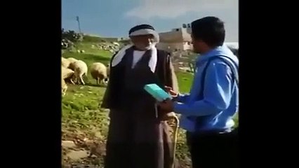 Sheep Attacks The Old Man During A Live Interview