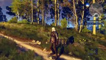 Extrait / Gameplay - The Witcher 3 (Gameplay en Forêt - Graphismes Non Ultra !)