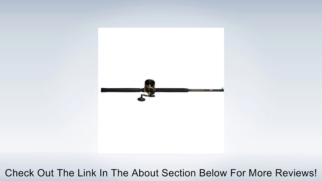 Penn SQL30LD1530C70LB Spinning Fishing Reels Review