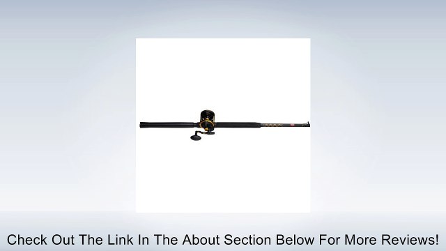 Penn SQL30LD1530C70LB Spinning Fishing Reels Review