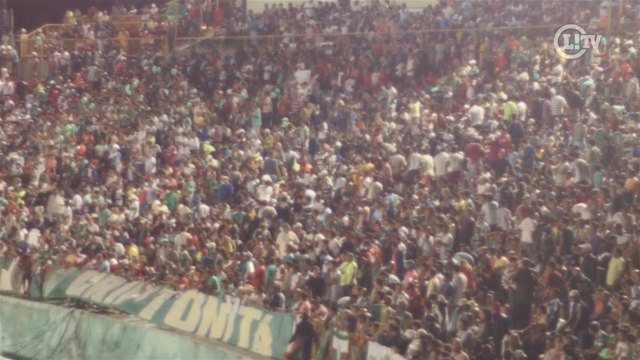 Torcidas de Palmeiras e Vitória pintam estádio de verde e branco