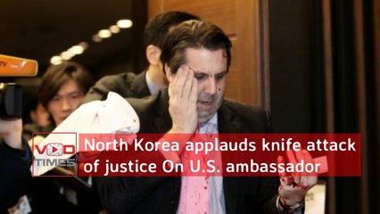 U.S. Ambassador North Korea applauds 'knife attack of justice'