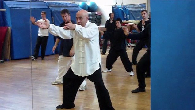 TAIJI QUAN STILE CHEN: GOMITO PESANTE - M° FLAVIO DANIELE