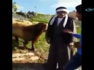 Sen misin benden izinsiz röportaj veren !