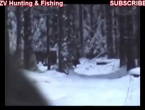 Охота на Кабана 2014. Закрытие Сезона Охоты. Wild boar hunting. Closing of the Hunting Sea