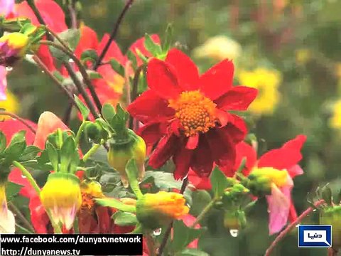 Dunya News - Rain, Snow fall predicted in northern areas of Pakistan