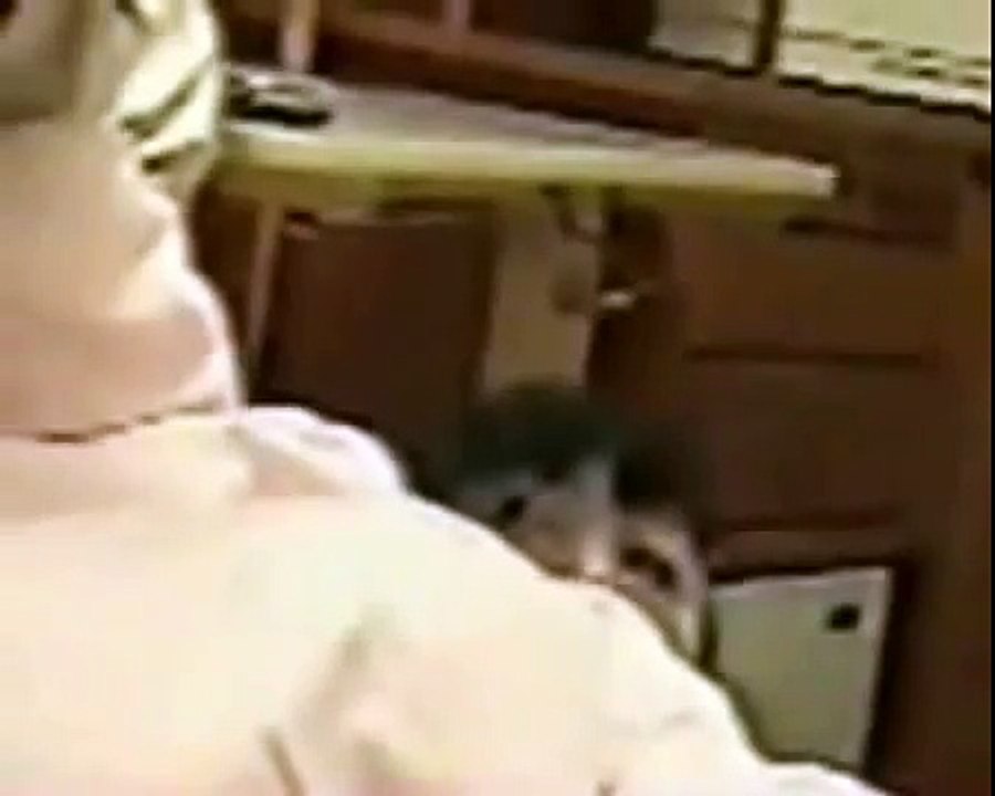 No Fake - Real Ghost Video