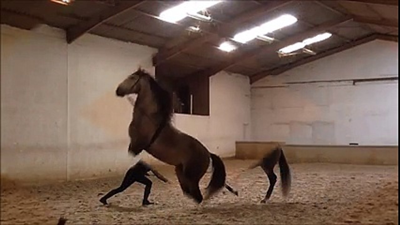 Vincent Libérator entrainement Mars 2015