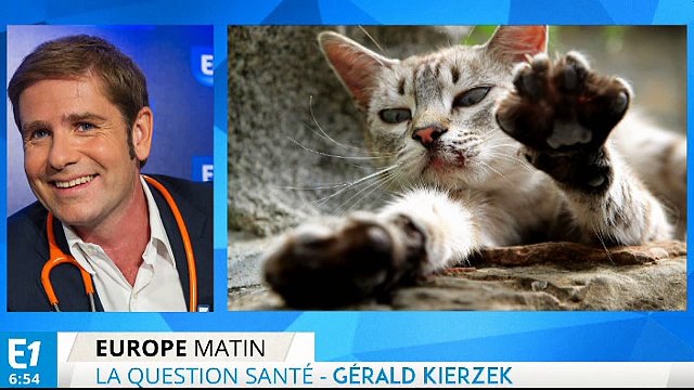 La maladie des griffes du chat transmise à l'homme : quels symptômes ?