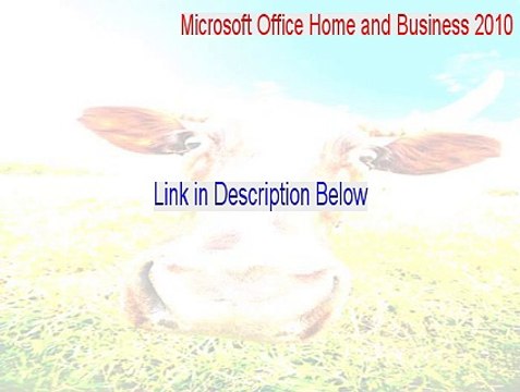 Microsoft Office Home and Business 2010 Cracked [Free Download]