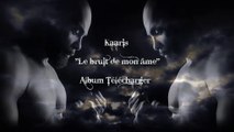 Kaaris - Le bruit de mon ame Telecharger Album