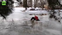 Unos heroicos bomberos rescatan a un caballo de morir congelado
