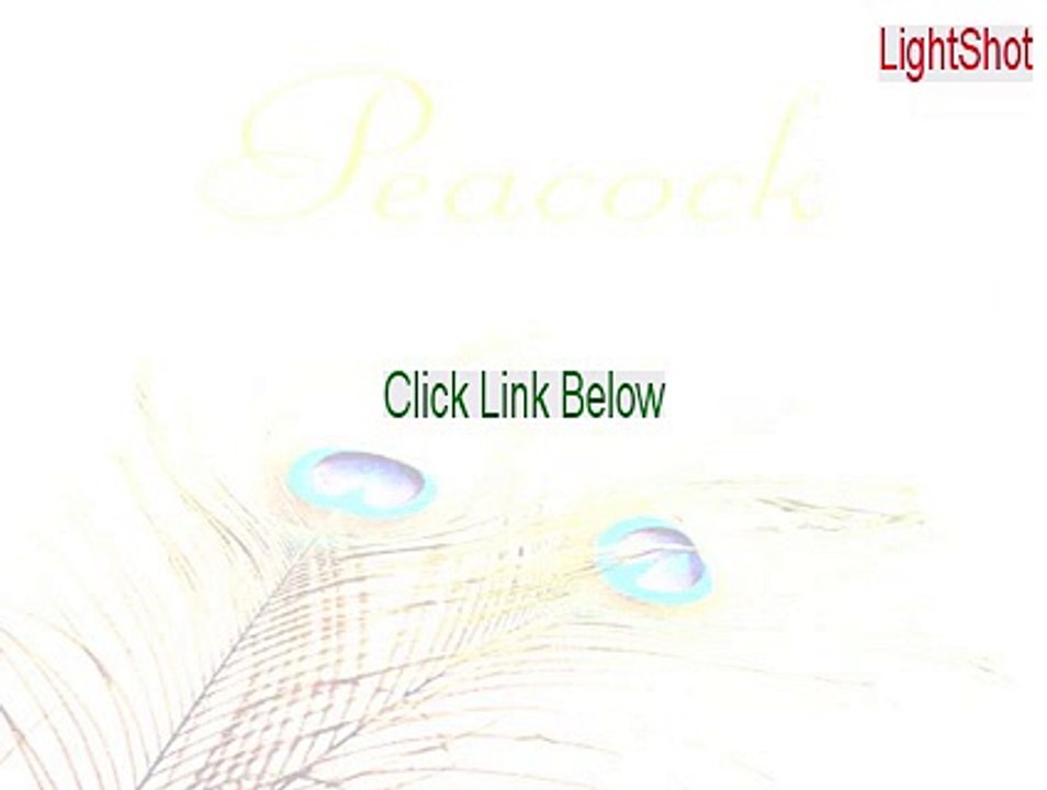 LightShot Full Download (Download Now 2015)