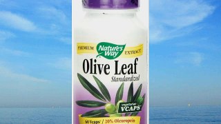 Nature's Way Olive Leaf 20% Oleuropein 60 Vcaps (Pack of 4)