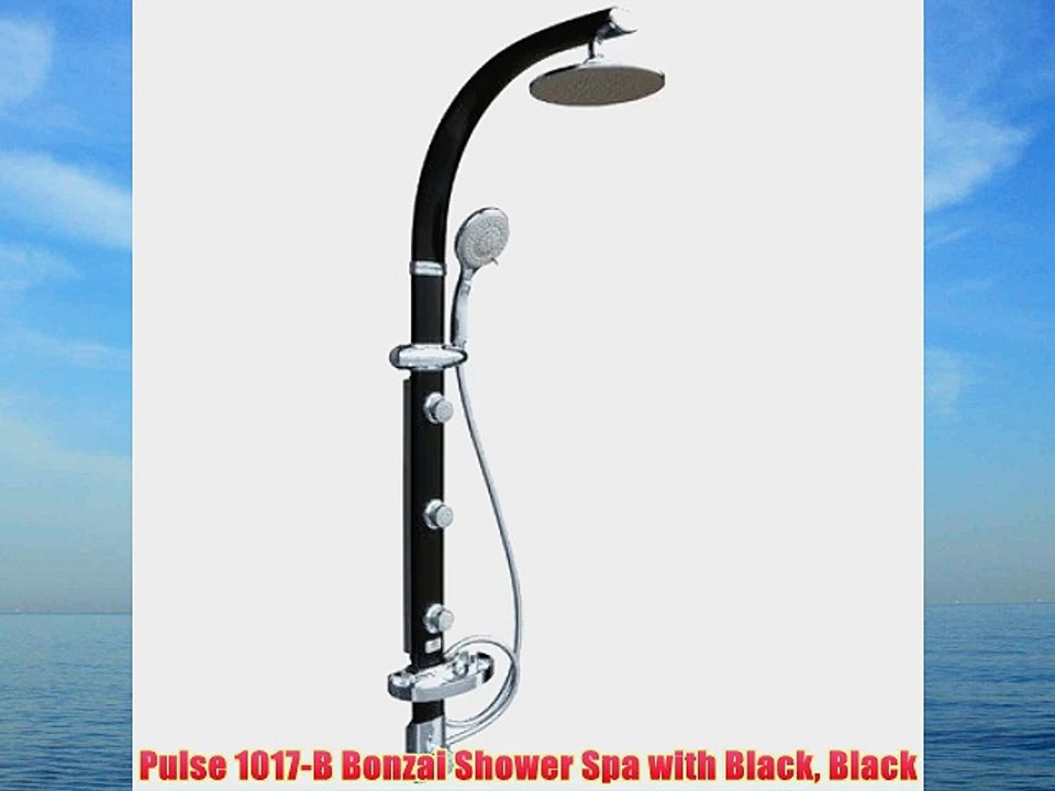 Pulse 1017-B Bonzai Shower Spa with Black Black