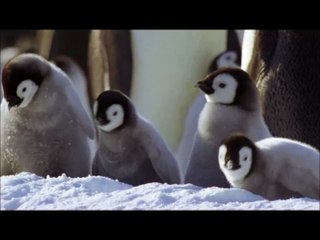 Wonderful creations for a wonderful creator-Allah!!!