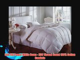 Downright Mackenza All Year Hypoallergenic White Down Comforter