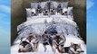 Queen King Size 100% Cotton 7-pieces 3d Four Wolf Animal White Snow Tree Winter Prints Fitted