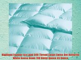 Highland Feather Manufacturing 35-Ounce Ice Land Swiss Dot Hutterite Goose Down Duvet Queen