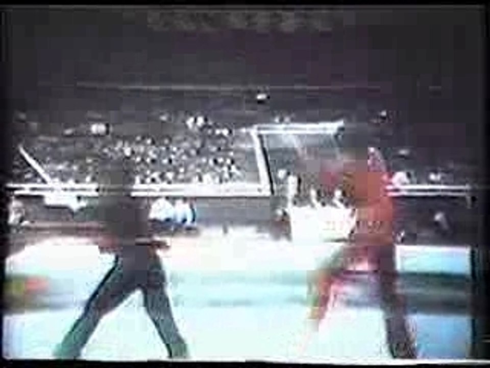 Martial Arts Weapon Fighting