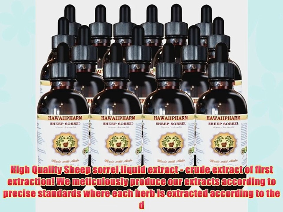 Sheep Sorrel Liquid Extract Organic Sheep Sorrel (Rumex acetosella) Tincture 15x4 oz