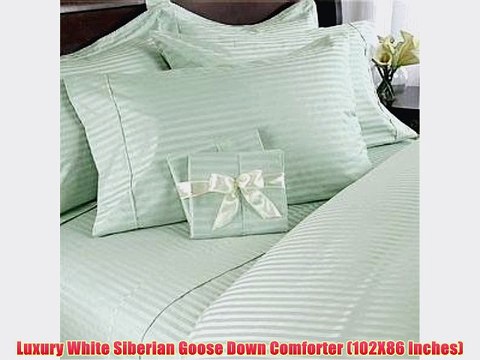 800 Thread Count California King Siberian Goose Down Comforter 8 PC Bed in a Bag Sage Damask