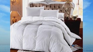 1500 Thread Count King Size Down Alternative Comforter 100% Egyptian Cotton 1500 TC - 750FP